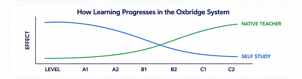 Corporate Strategy Graph