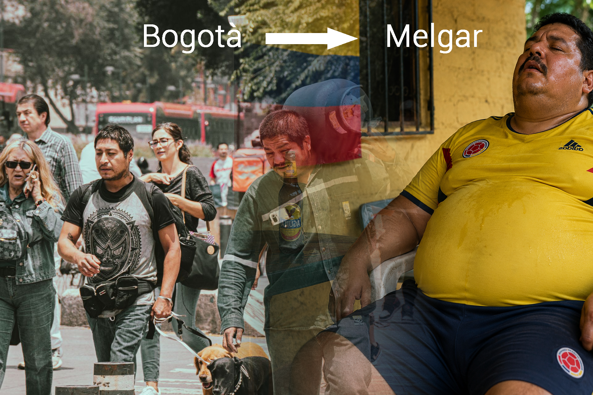 De Bogotá a Melgar: Un Viaje de Dos Horas que Explica el Mundo