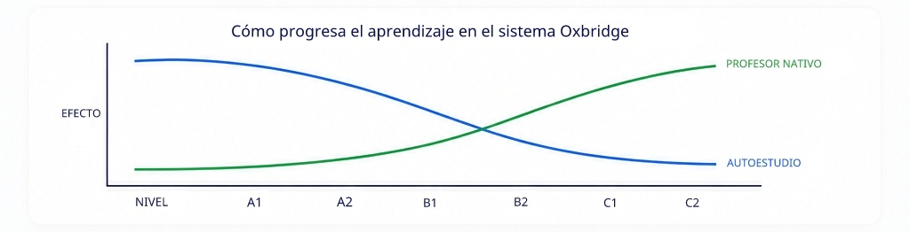Corporate Strategy Graph