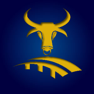 Oxbridge English Logo